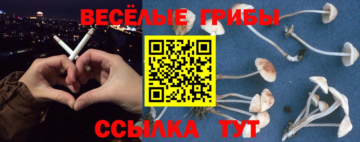 Галлюциногенные грибы MAGIC MUSHROOMS  Вход с VPN  купить наркотики сайты  Карачаевск  Псилоцибиновые грибы MAGIC MUSHROOMS 